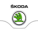 Логотип компании БН-Моторс Skoda