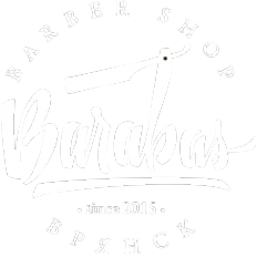 Логотип компании Barabas