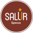 Логотип компании SALUR-Брянск
