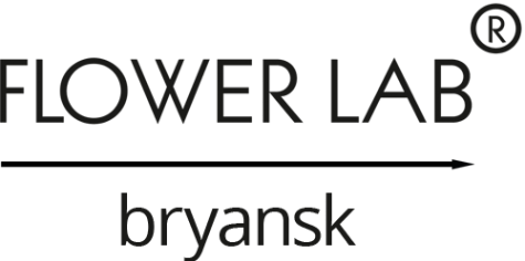Логотип компании FLOWER LAB BRYANSK