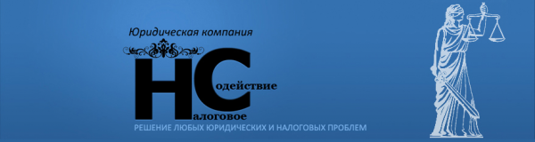 Логотип компании Налоговое Содействие