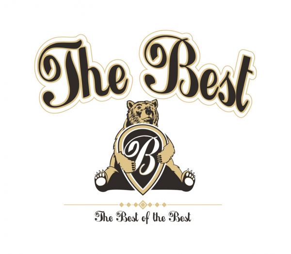 Логотип компании The Best