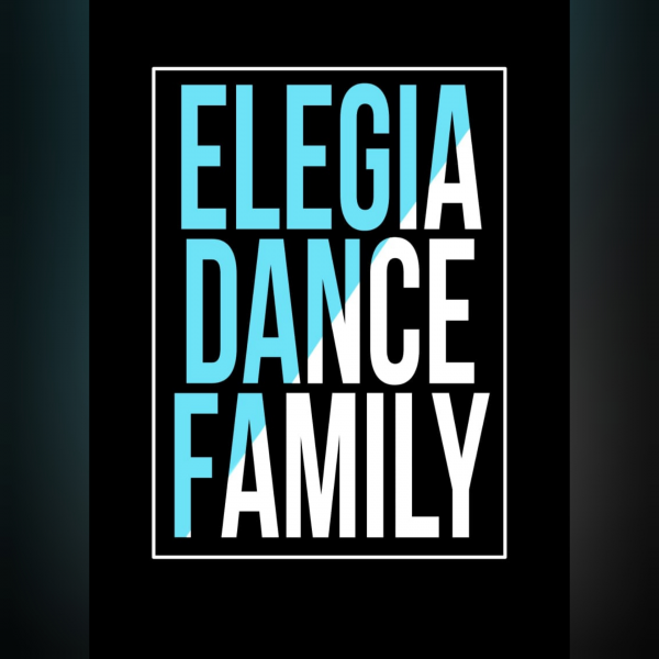 Логотип компании Школа танцев Элегия