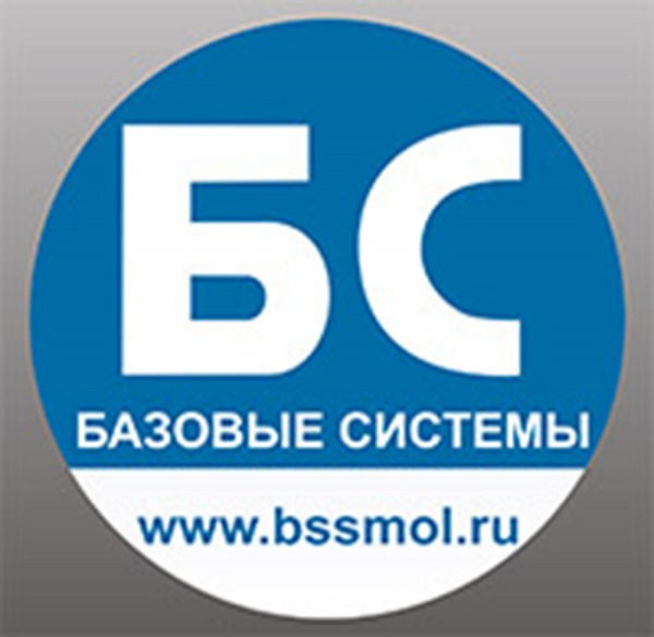 Логотип компании ООО Базовые Системы